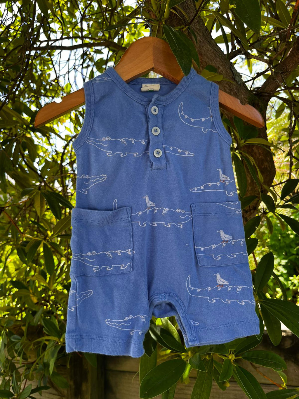 Nature Baby Crocodile Playsuit (3-6 mon)