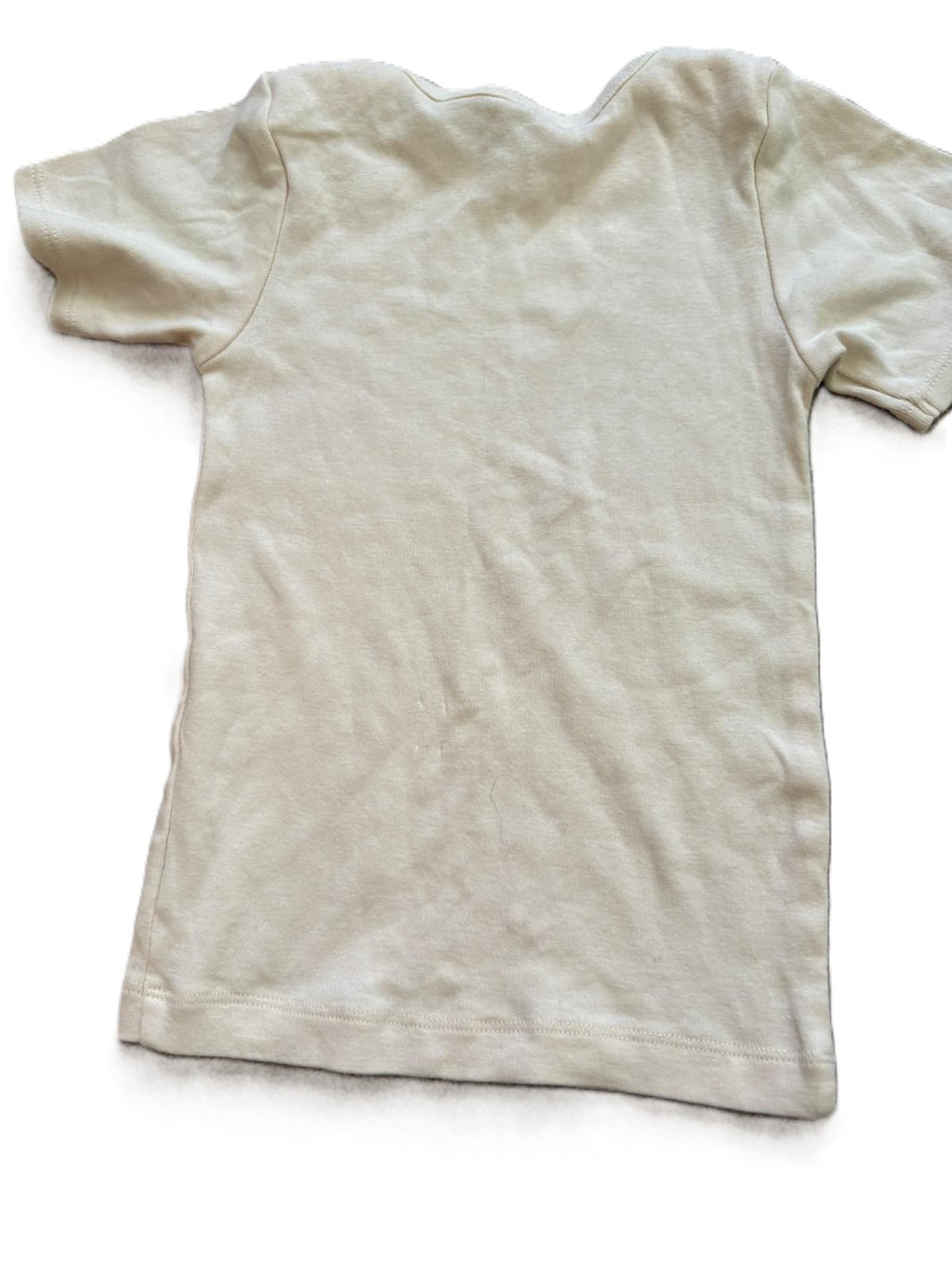 Nature Baby Guinea pig T-shirt (2 years)