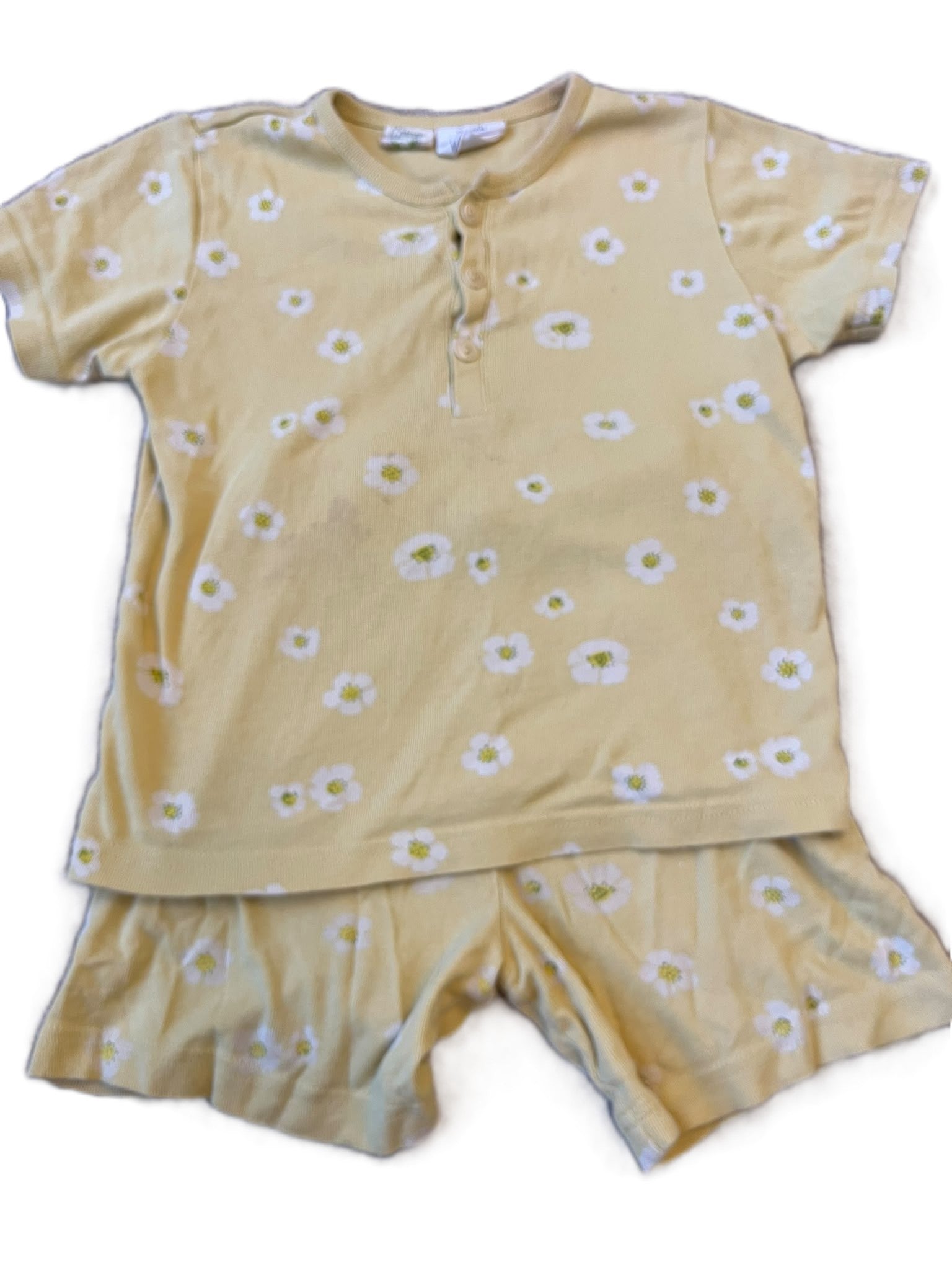 Nature Baby Daisy Set (5yrs)
