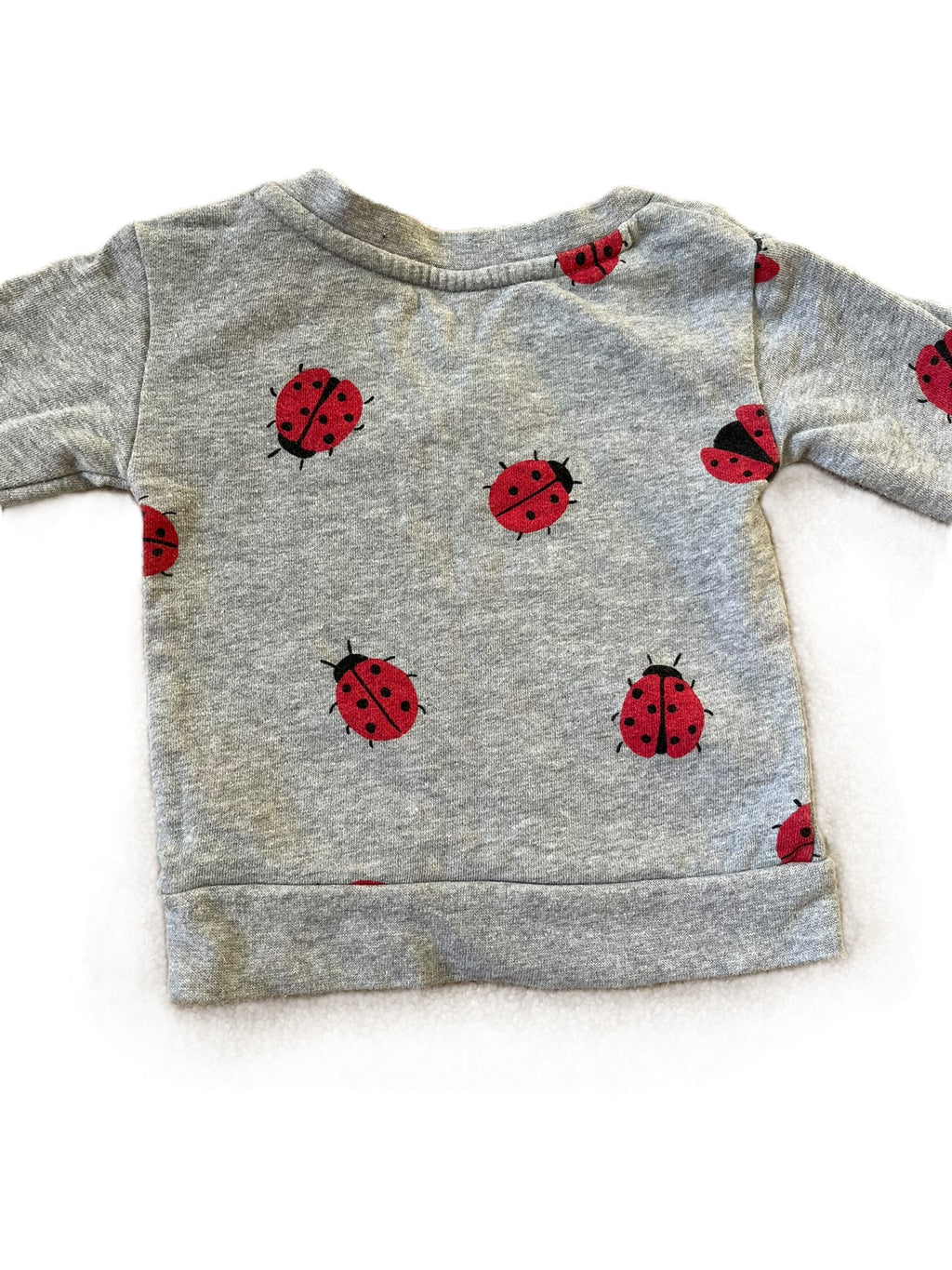 Nature Baby Ladybug Sweater (3-6mon)