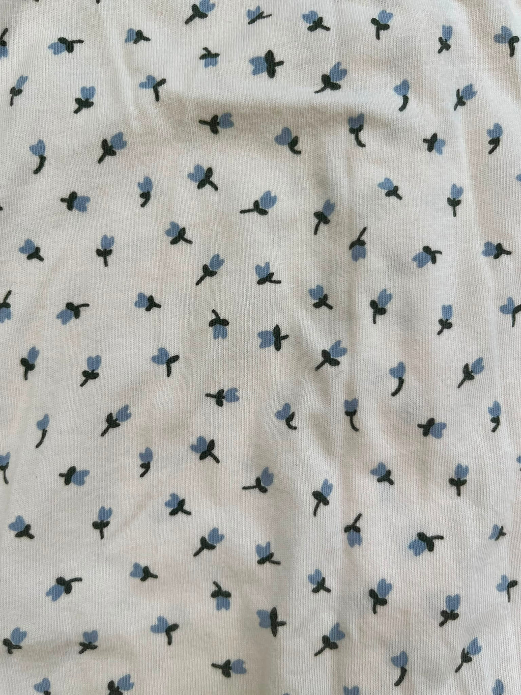 Nature Baby Blue Flower Sleepsuit (3-6m)