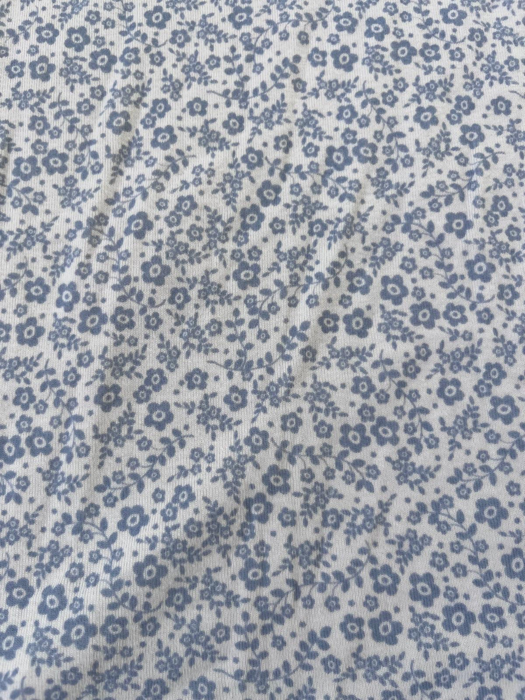 Nature Baby Blue Flower Sleep Gown (3-6m)