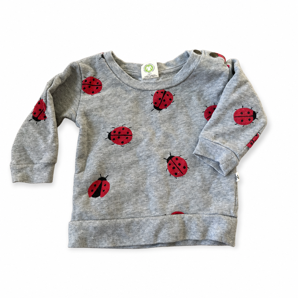 Nature Baby Ladybug Sweater (3-6mon)